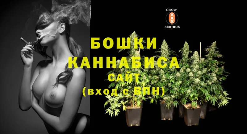 KRAKEN сайт  Елизово  Бошки Шишки SATIVA & INDICA 